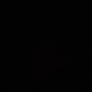 Meet your Posher, Lara-michelle